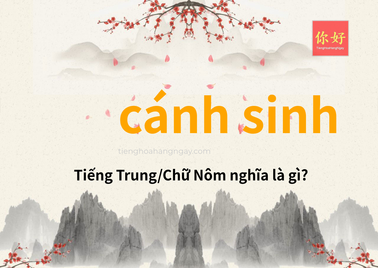 cánh sinh tiếng Trung là gì?